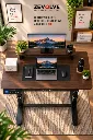 ZEVOLVE: The Movement-Driven Workspace[The Complete Workspace Setup]